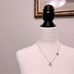 Rose Gold Butterfly Necklace – Minimal Double Butterfly Design | stainless steel